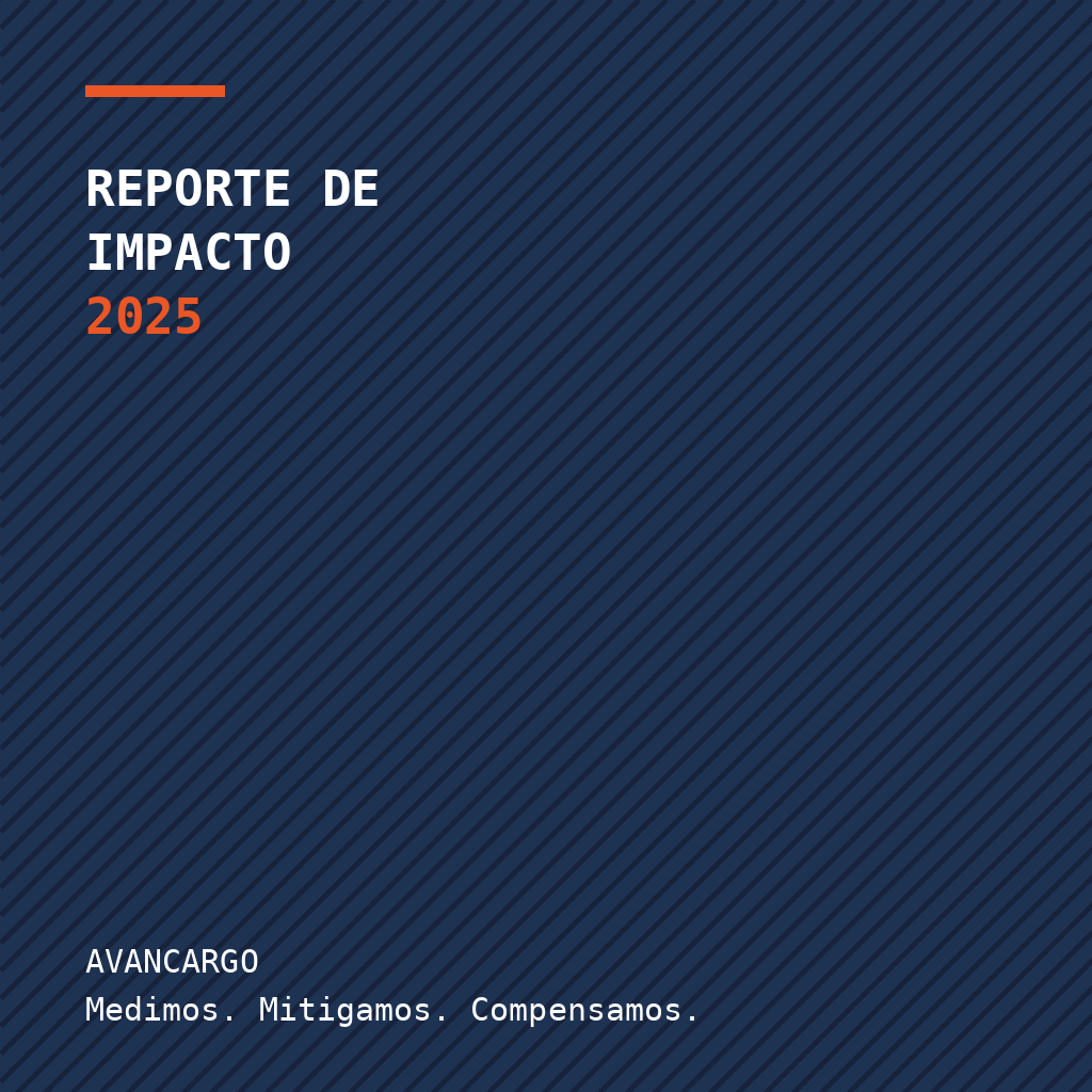 Reporte de Impacto 2025